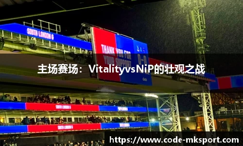 主场赛场：VitalityvsNiP的壮观之战